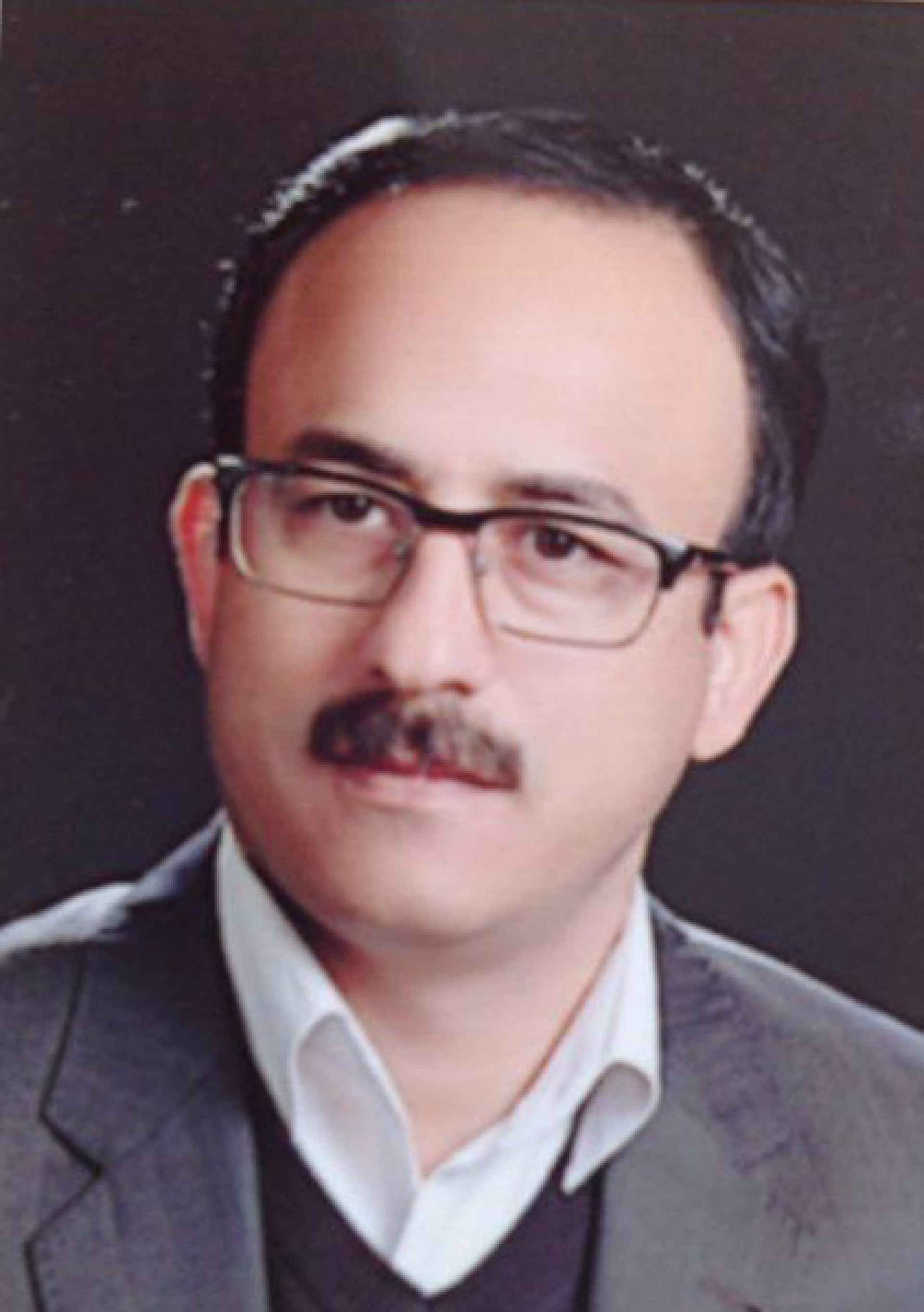 مهدی جوادی